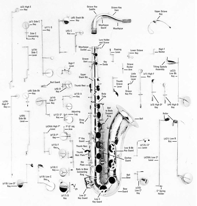 Tone-hole diagram to identify each note